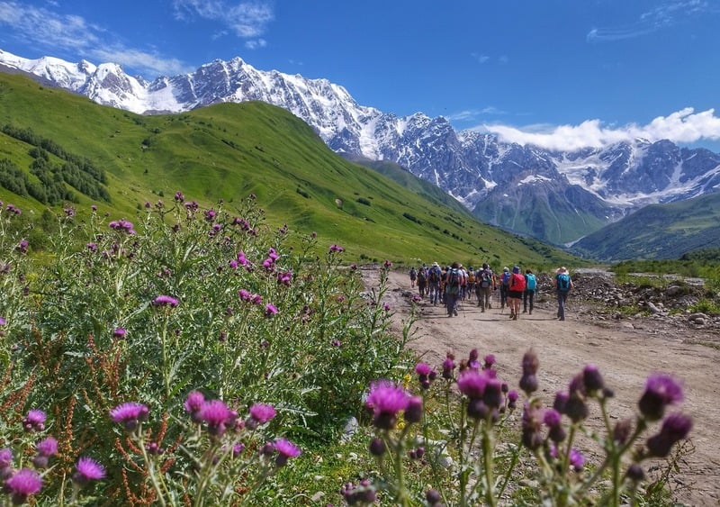 Primavera mayo y junio